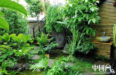 庭院植物風水|风水 —住宅庭院植物风水（一点要注意自己的运势）